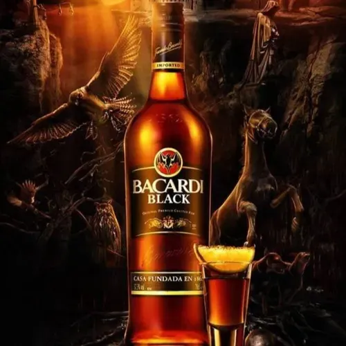 Bacardi Black 0,50ml